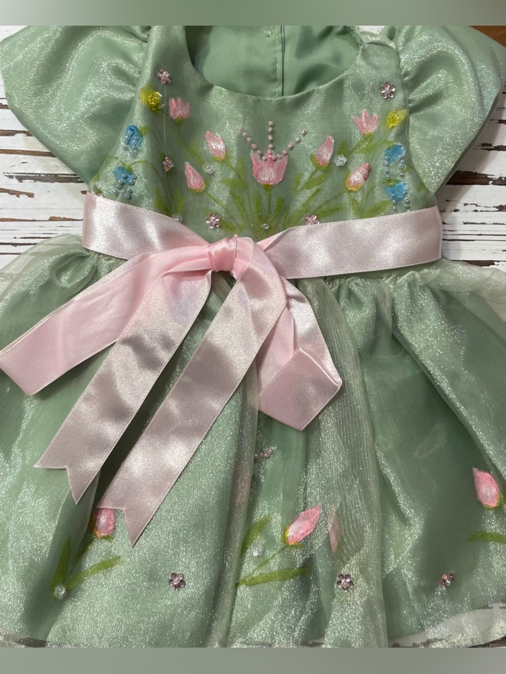 Mint Green Hand painted Floral Pet Party Dress with Pink Satin Bow
Medium